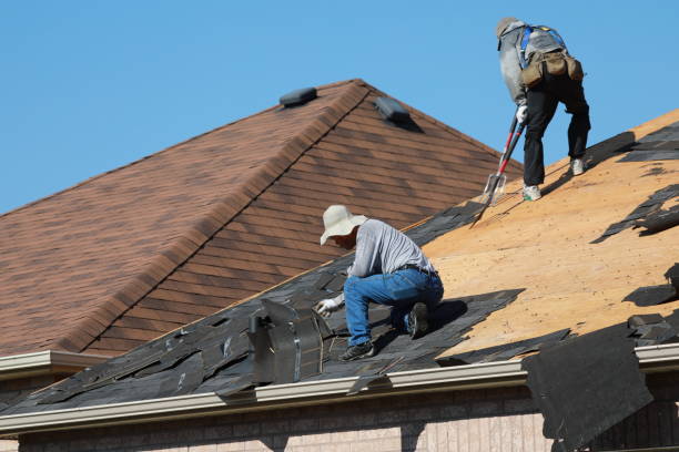 Best Steel Roofing  in Arlington, TX